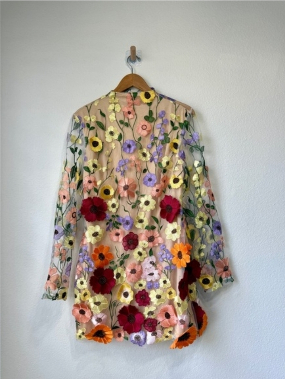 Catchall Danna Floral Embroidered Mesh Mini Dress NWT Large